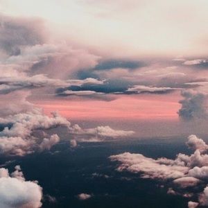 Meet your Posher, Lexi